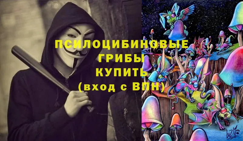 купить закладку  Надым  Галлюциногенные грибы MAGIC MUSHROOMS 